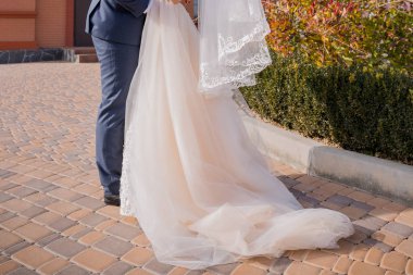 Gelin ve damat birlikte parkta sonbaharda stand