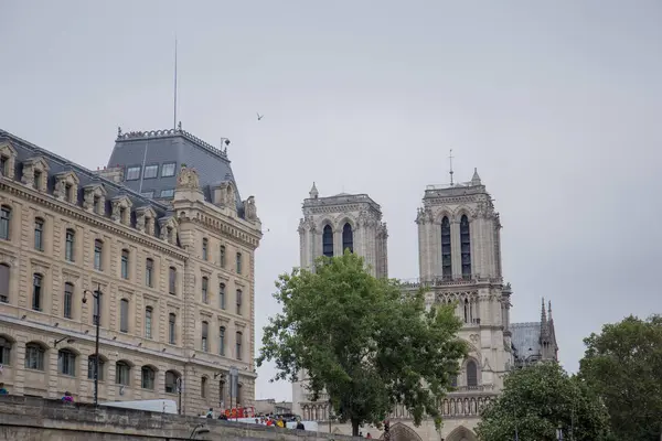 Історичні будівлі в Парижі на річці Села — стокове фото