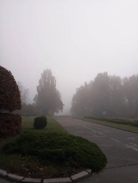 Jardim no nevoeiro durante o dia — Fotografia de Stock