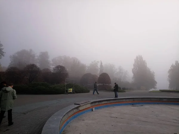 日中は霧の中の庭 — ストック写真
