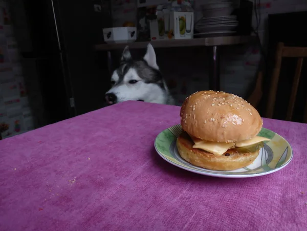 Hamburger sur la table de cuisine avec pain blanc — Photo