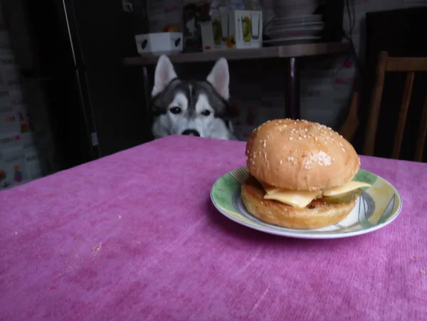 Hamburger sur la table de cuisine avec pain blanc — Photo