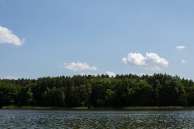 Ormanda açık gökyüzü olan büyük bir göl.
