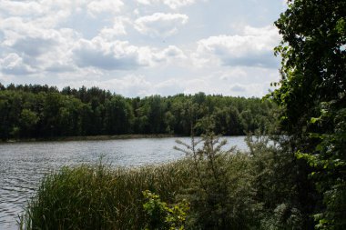 Açık gökyüzü ve yapraklarla ormandaki büyük göl