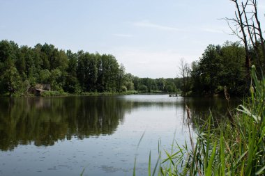Yeşil ormanda büyük bir göl.