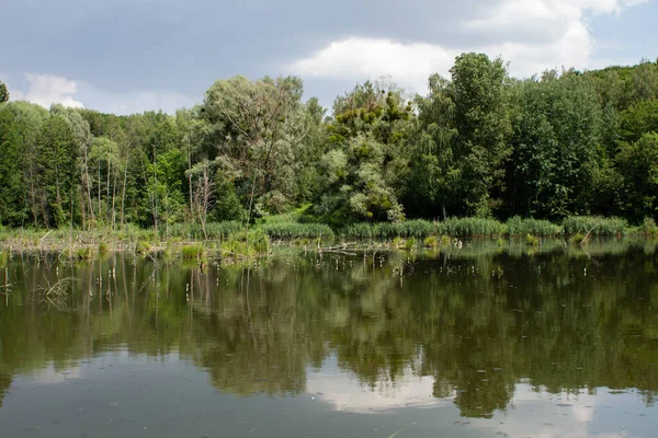 绿林中的一个大湖泊 — 图库照片