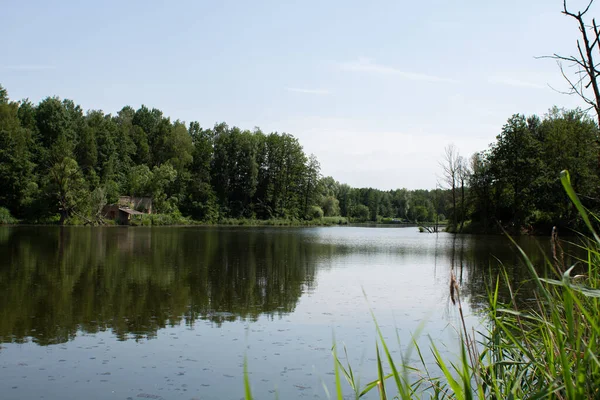 緑の森の中の大きな湖は — ストック写真