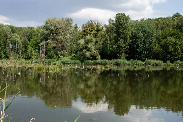 Gran Lago Bosque Verde — Foto de Stock