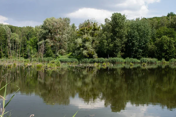 Gran Lago Bosque Verde — Foto de Stock