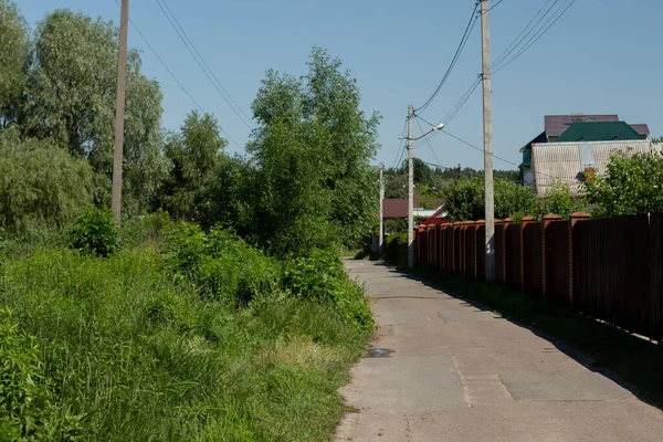 Дорога Зеленом Лесу Летом — стоковое фото