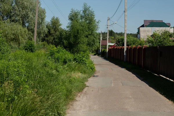 Weg Groen Bos Zomer — Stockfoto