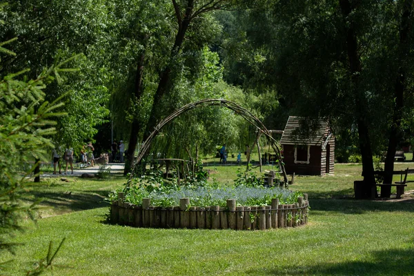Beautiful Flowerbed Summer Park — Stock Photo, Image