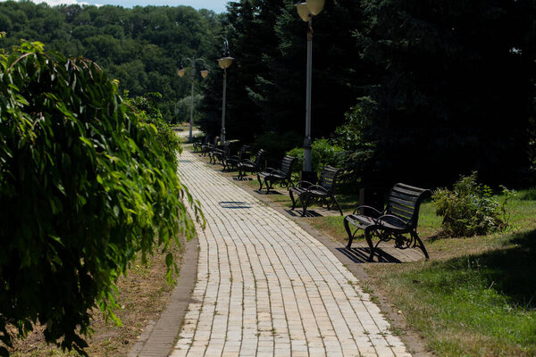 Paved walkway in Italian park garden