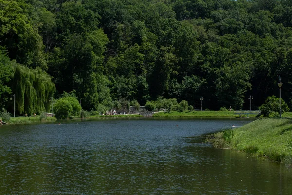 Velké Krásné Jezero Zelenou Krajinou — Stock fotografie