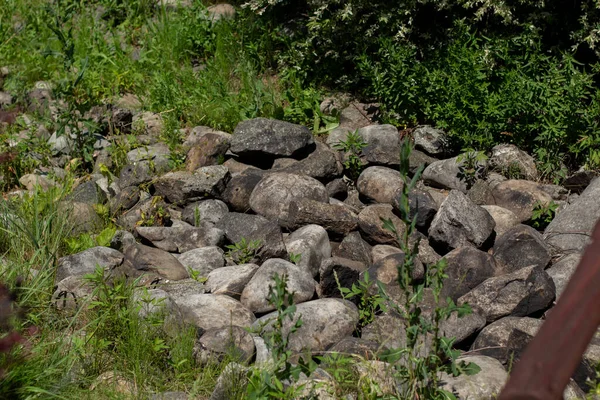 Piedras Pavimentadas Jardín Ajardinado — Foto de Stock