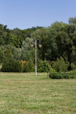 Ağaçlı yeşil çayır