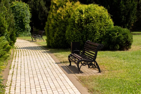 Yaz parkında ahşap bir bank.