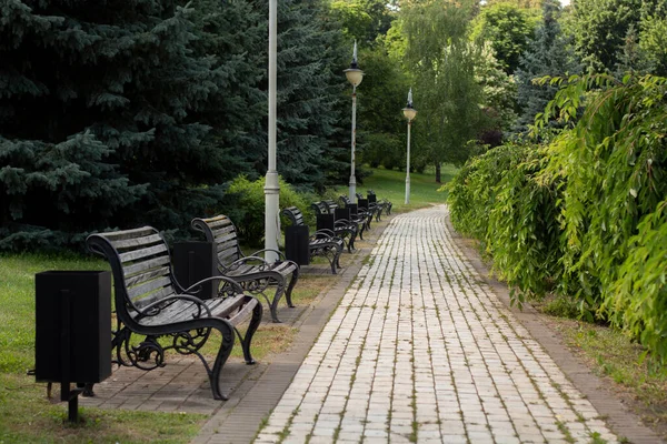Wooden Bench Summer Park — Stock Photo, Image
