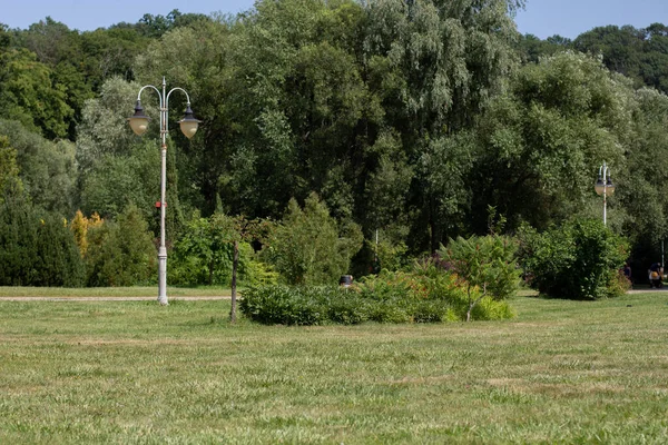 Grön Äng Park Med Träd — Stockfoto