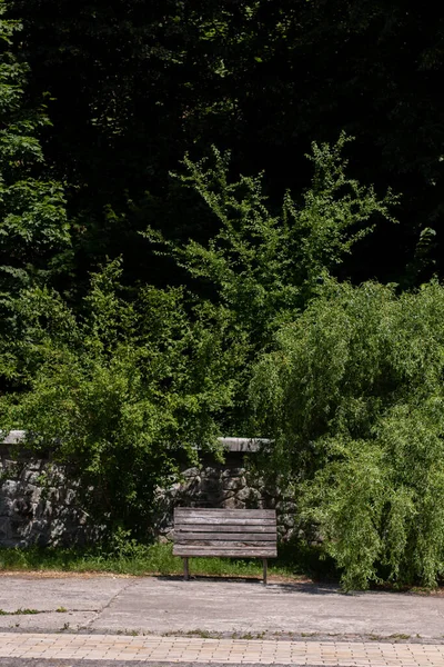 Een Houten Bank Het Zomerpark — Stockfoto