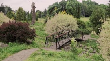 Bahçedeki küçük dekoratif köprü.