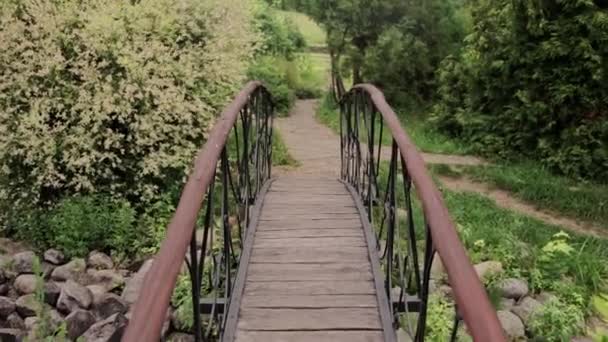 Piccolo Ponte Decorativo Giardino — Video Stock