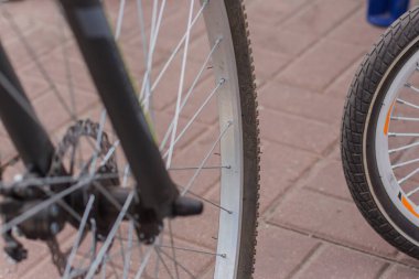 Parkta asfalt üzerinde bisiklet tekerleği