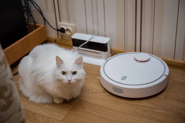 Odada kedi ve robot elektrikli süpürge var.