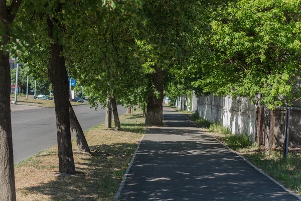 Uma Calçada Pavimentada Cidade — Fotografia de Stock