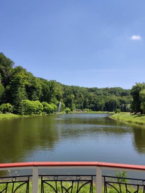 Yaz ormanındaki güzel göl