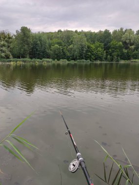 Ormanda olta kamışı tutan bir adam.