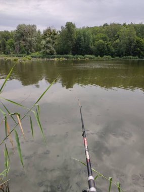 Ormanda olta kamışı tutan bir adam.