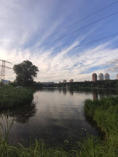 Hermoso Lago Bosque Verano — Foto de Stock