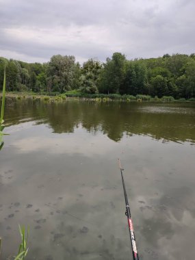 Ormanda olta kamışı tutan bir adam.