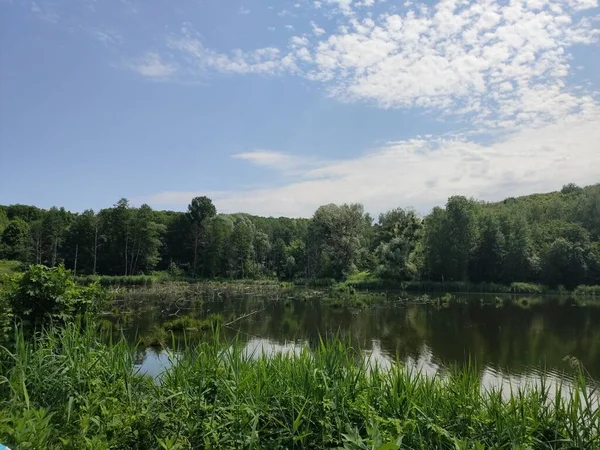 Beau Lac Dans Forêt Été — Photo