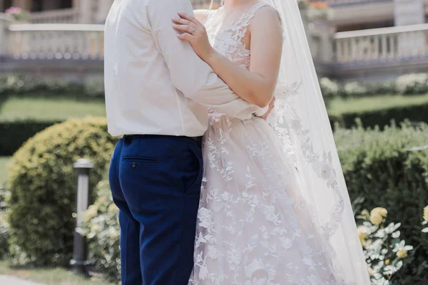 Groom Bride Together Summer Park — Stock Photo, Image