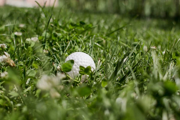 ゴルフボールは緑の芝生の上にあり — ストック写真