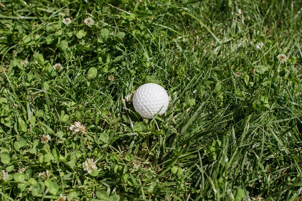 Egy Golflabda Zöld Fűben — Stock Fotó