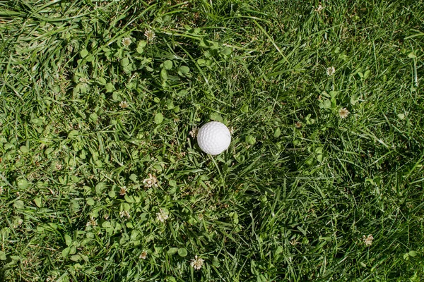 高尔夫球落在绿草中 — 图库照片