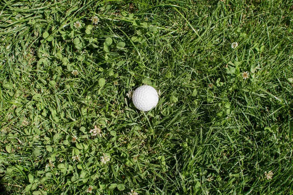 Een Golfbal Ligt Groen Gras — Stockfoto