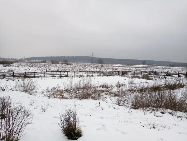 Pole Śniegu Zimie — Zdjęcie stockowe