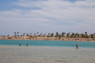 Kızıl Deniz 'in berrak deniz suyu.