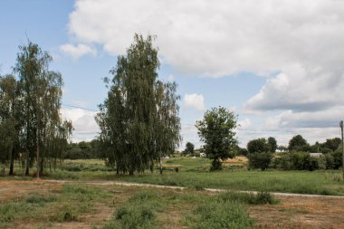 Toprak yolu ve ağaçları olan köydeki yeşil çayır