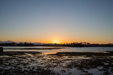 Akşamları denizde gün batımı, palmiye ağaçları...