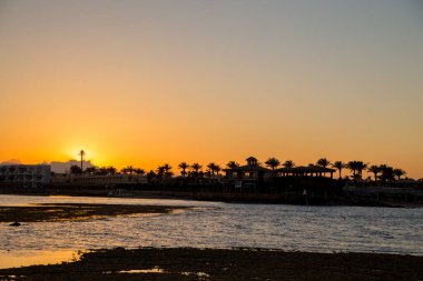 Akşamları denizde gün batımı, palmiye ağaçları...