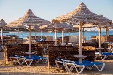 Sahilde şemsiyeler ve deniz kenarında güneşlenmeler.