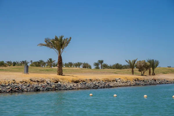 Une Plage Mer Avec Palmiers Maisons Egypte — Photo