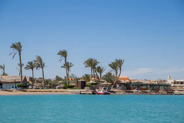 a sea beach with palms and houses in egypt