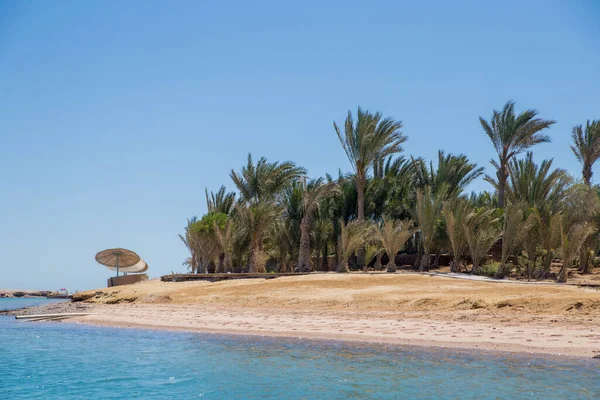 一个有棕榈和埃及式房屋的海滨 — 图库照片
