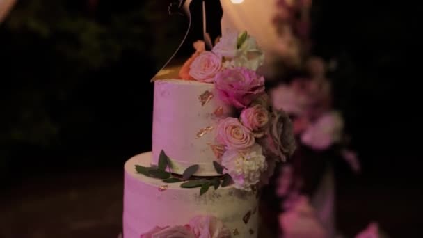 夜の儀式のためにアーチ近くのウェディングケーキ — ストック動画